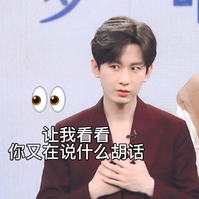 表情包/成毅