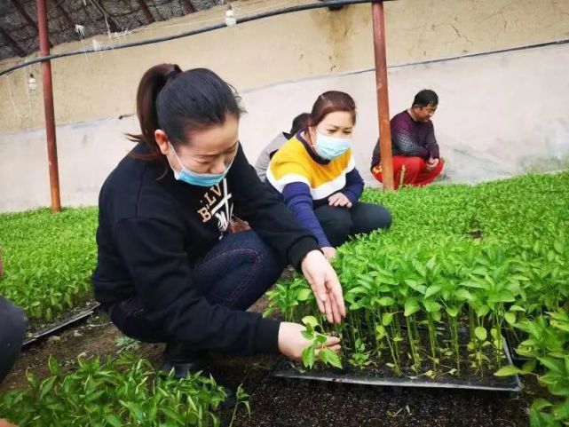 退休职工马菊花,作为政策的宣讲员,向少数民族宣传两癌免费筛查政策