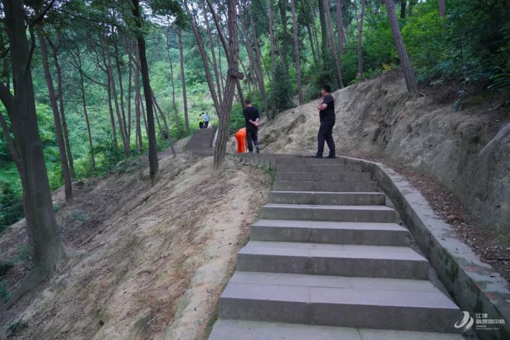 森林中的步道 通讯员 陶亚克 摄临峰山森林公园位于江津德感街道