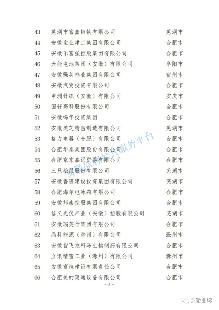 百强榜单2022安徽省民营企业一起来看完整名单:池州市尚未有入榜者