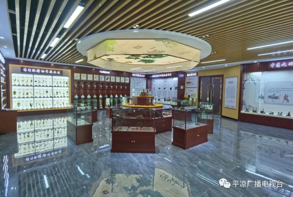 激情昂扬迎盛会踔厉奋发谱新篇华亭药材之乡药苗香