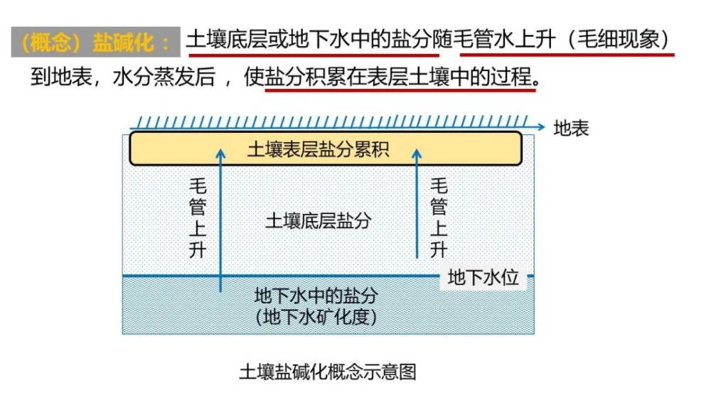 专题盐碱化