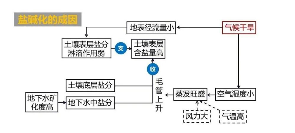 专题盐碱化