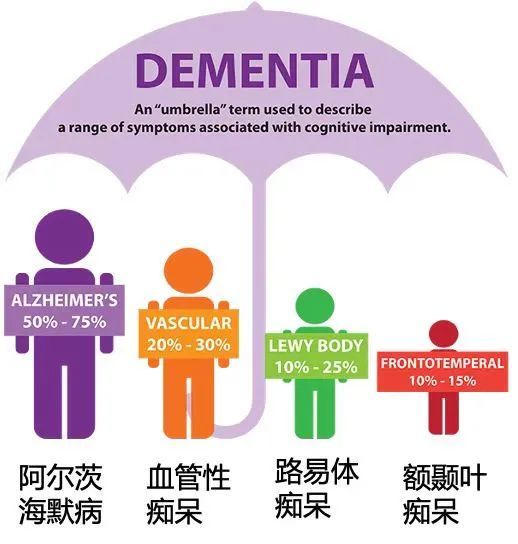 痴呆的常见亚型01痴呆的患病率与经济负担据流行病学报道,我国60岁