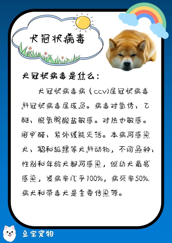 犬冠状病毒病(ccv)属冠状病毒科冠状病毒属成员.