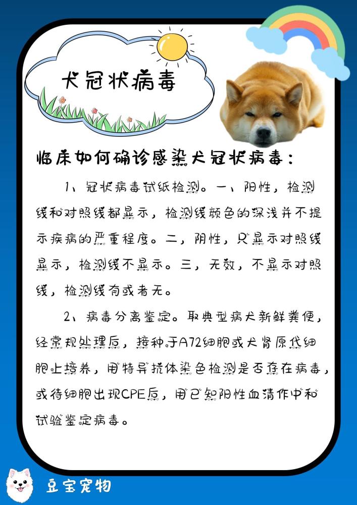 犬冠状病毒病(ccv)属冠状病毒科冠状病毒属成员.