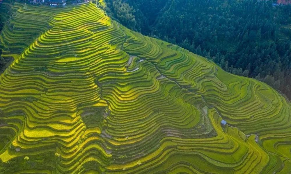 加榜梯田,位于贵州省黔东南苗族侗族自治州从江县西部月亮山腹地的加