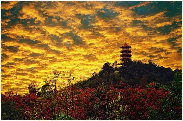 "乡村四时好风光—稻花香里说丰年"全国乡村旅游精