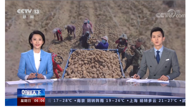 [南方生姜网-图片加载]