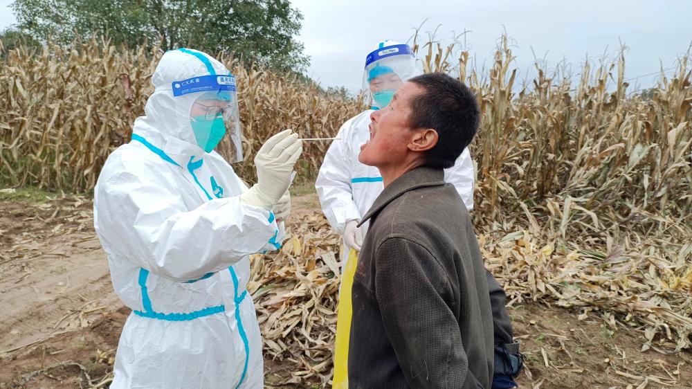 陇县田间地头做核酸防疫秋收两不误