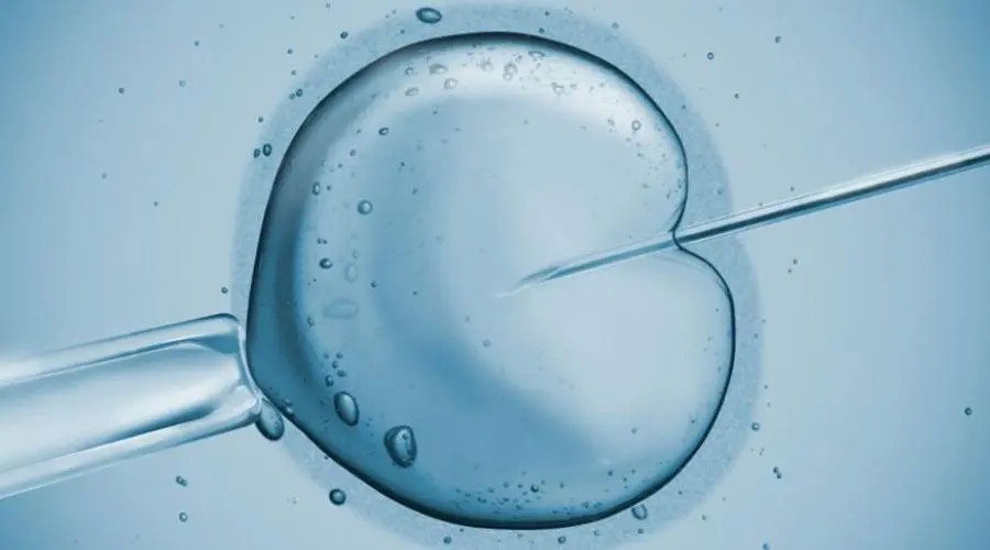 第三代试管婴儿胚胎诊断助试管婴儿(图2)