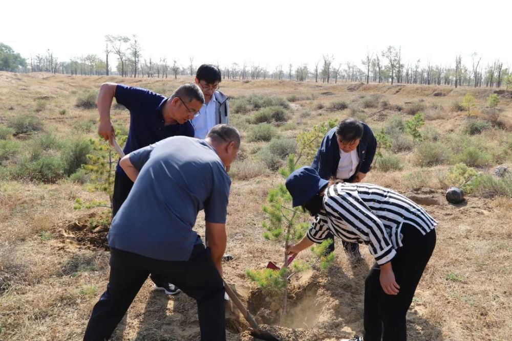 市域社会治理达拉特旗检察公益林暨生态修复实践基地上线了