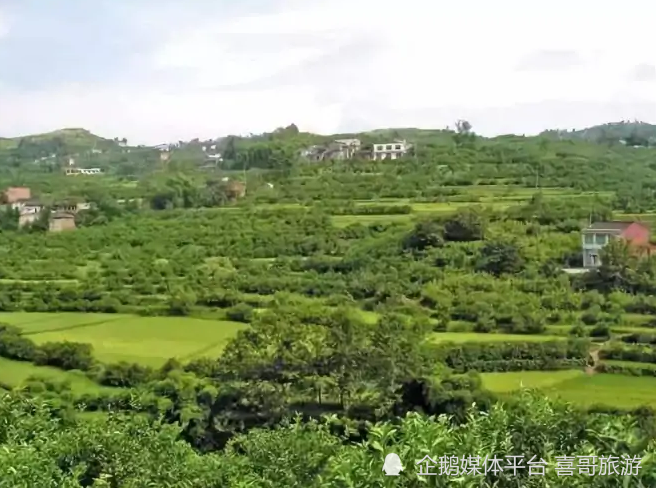 白羊镇,隶属于重庆市万州区,地处万州区东部,东与太安镇相邻,南接长滩