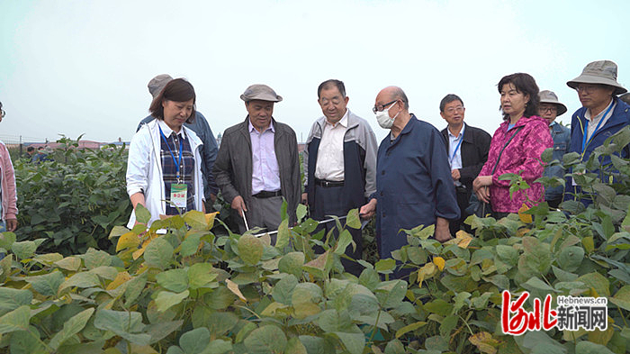 河北省农林科学院这十年坚持人才强院强化平台建设提升项目水平科研