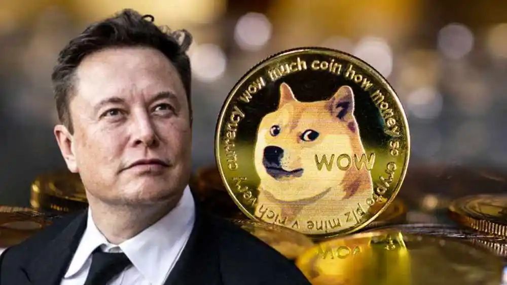 狗狗币上涨马斯克可能同意购买推特