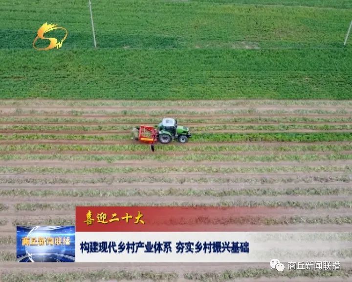 河南长岭花生食品有限公司总经理 张显良:目前我们这个长岭蒜香花生