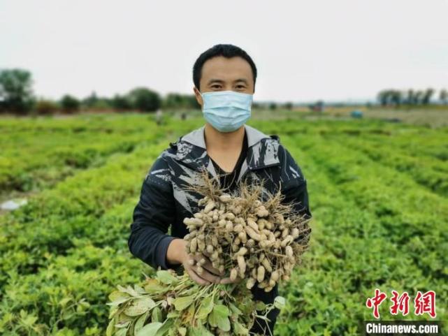 [南方生姜网-图片加载]