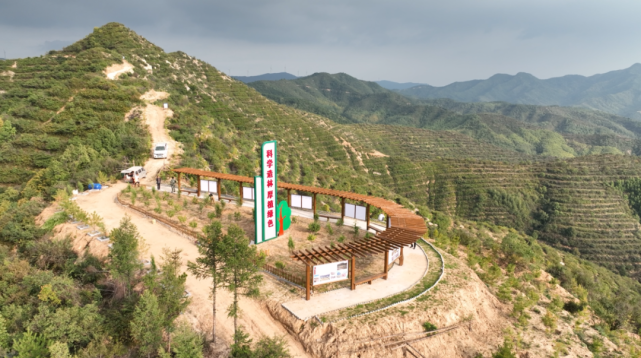 推进生态文明建设—山西省关帝山国有林管理局南海滩林场