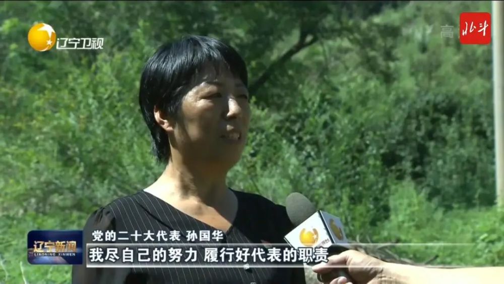 二十大代表风采孙国华找准致富项目建设美丽乡村