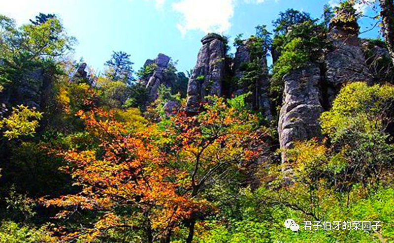 红色旅游参观凤县革命纪念馆重温两当兵变红色历史