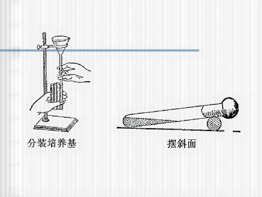 如果要制作斜面培养基,须将培养基分装于试管中.