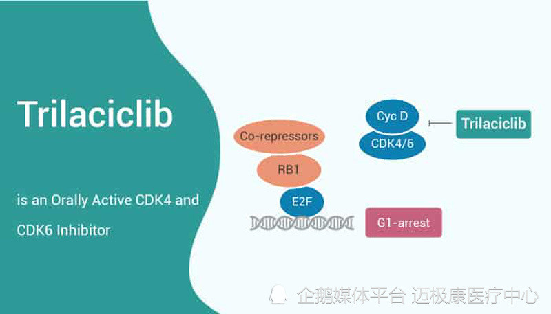 香港迈极康trilaciclib治疗转移性三阴性乳腺癌tnbc3期临床试验取得新