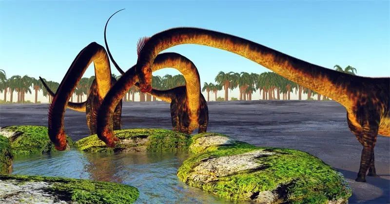 10,巴洛龙/重型龙(barosaurus)说明:关于恐龙长度的预测其实有的时候