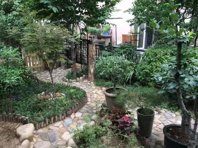 获奖名单公布绿色生活美丽家园首都市民园艺风采大赛获奖名单