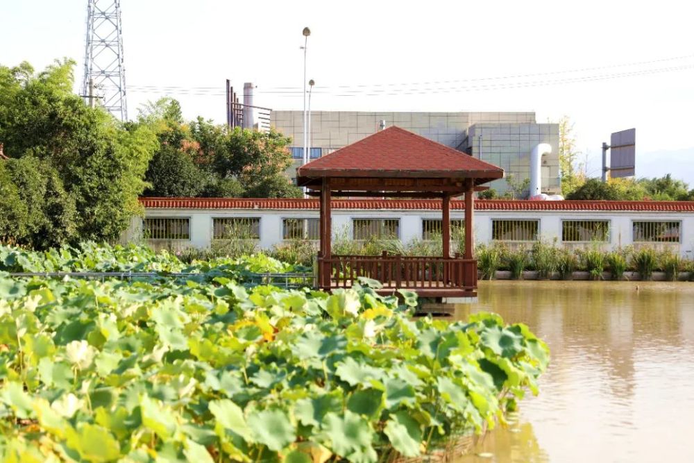 西京园楹联征集评审结果揭晓