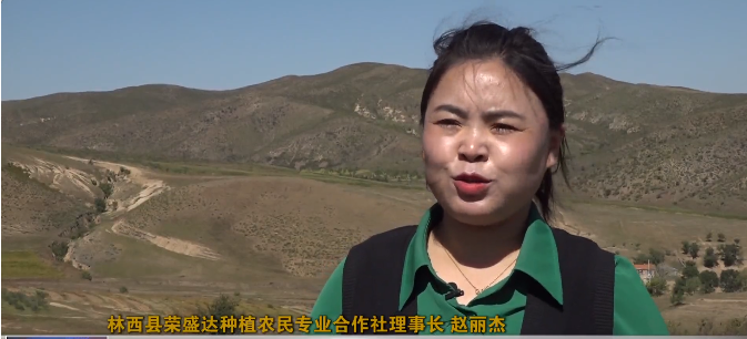 林西县荣盛达种植农民专业合作社理事长 赵丽杰:不光