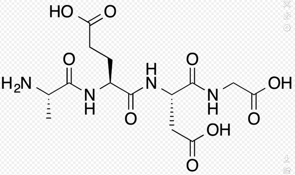 epitalon是一种四肽,氨基酸序列为ala-glu-asp-gly,分子式为c14h22n4o