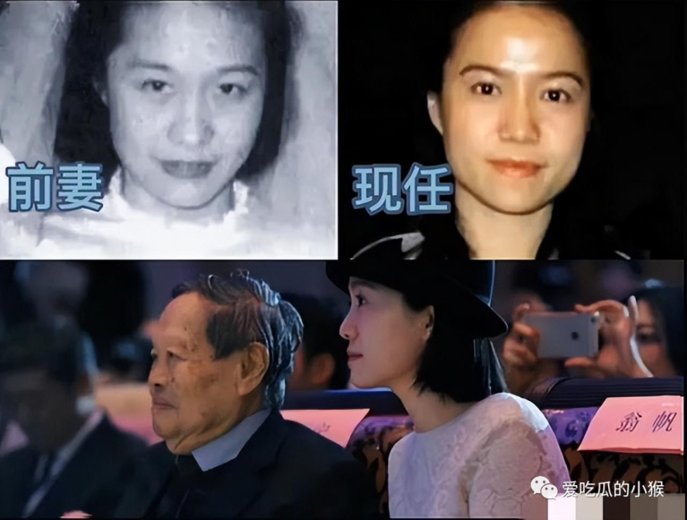 100岁杨振宁摔倒入院73岁岳母看望为翁帆着想不要孩子支持改嫁