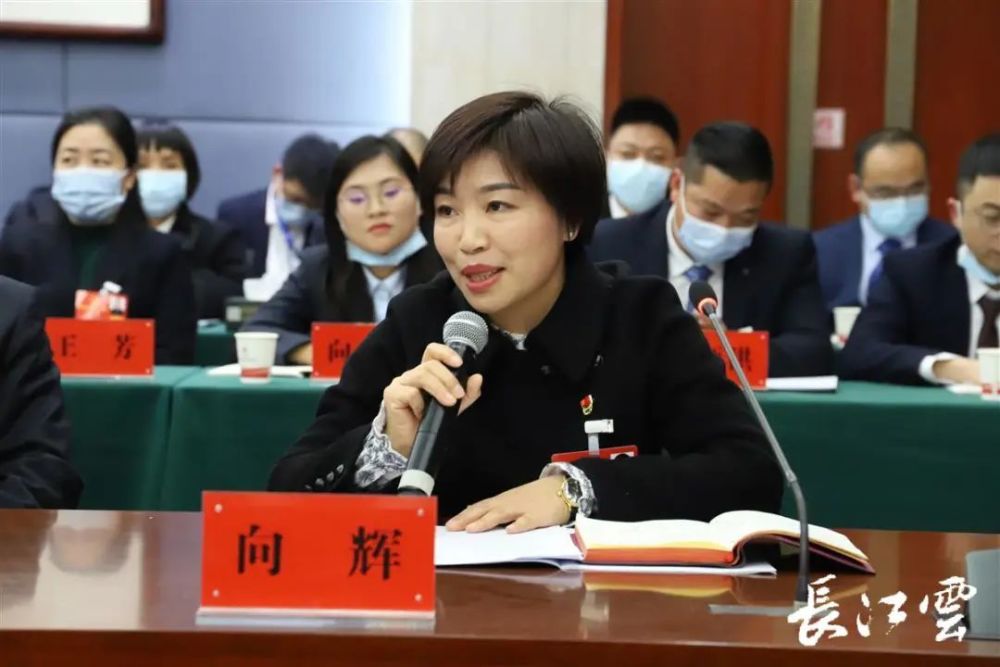 二十大代表恩施向辉自己富了就该带动村民一同致富