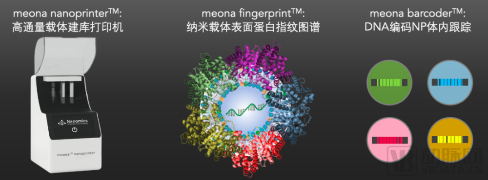 珞米生命科技以纳米组学为支点撬动新一代蛋白质组学和纳米药物递送