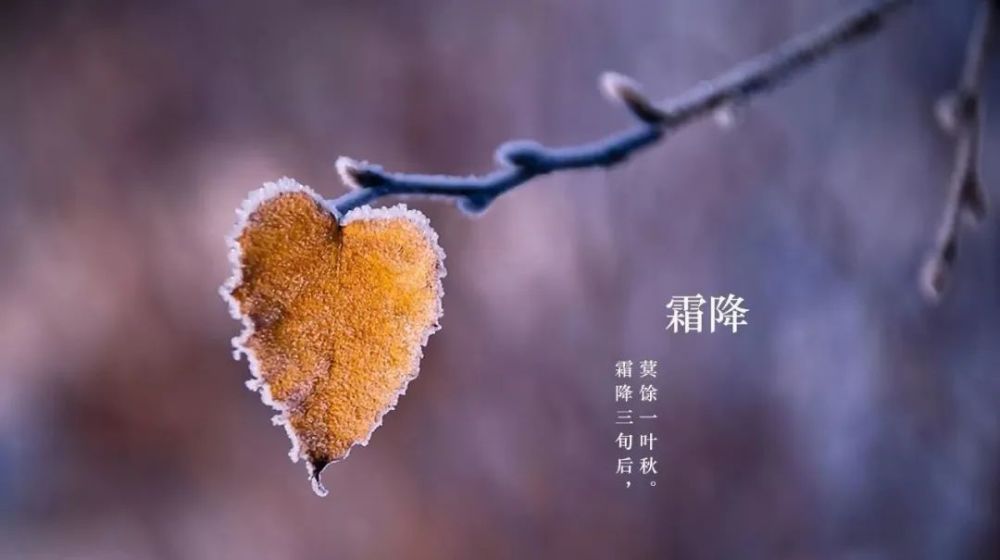霜降将至秋天最后1个节气要格外注意这3件事