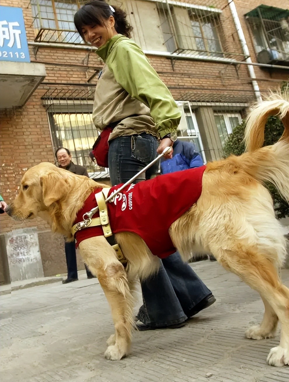 北京导盲犬带着主人做核酸意识到插队后带着主人到队尾排队