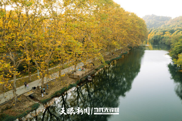 深秋时节贵阳花溪黄金大道美如画