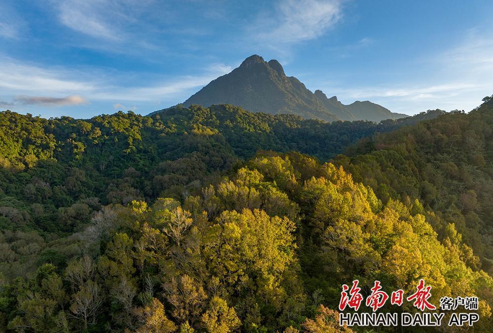 海南五指山热带雨林上秋装