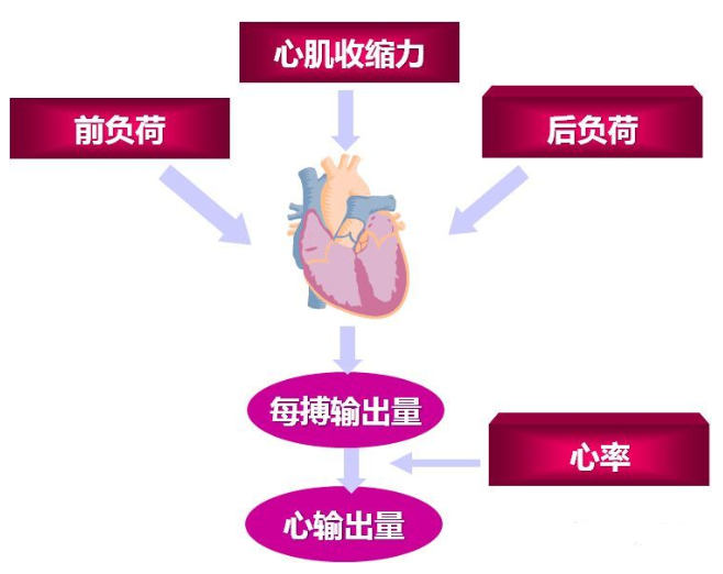 心输出量减少 腾讯网