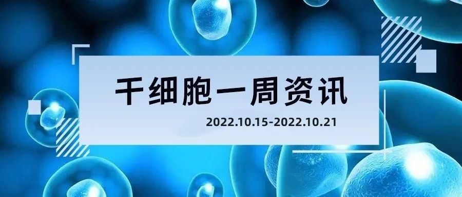 患有勃起功能障碍的患者在接受干细胞疗法治疗后,其勃起功能恢复