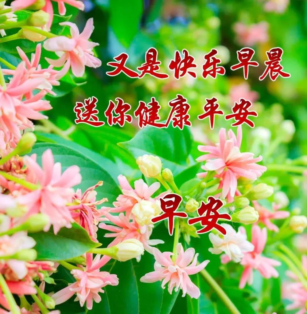 10月24日每日祝福