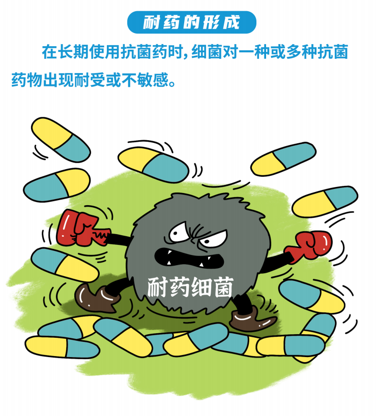 知识科普一图了解动物源细菌耐药性