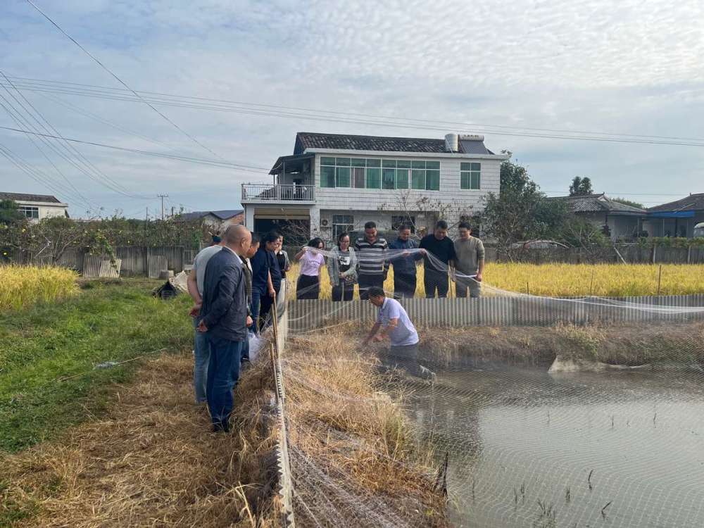 浏阳市孔蒲中家庭农场稻田鳖综合种养助力乡村振兴