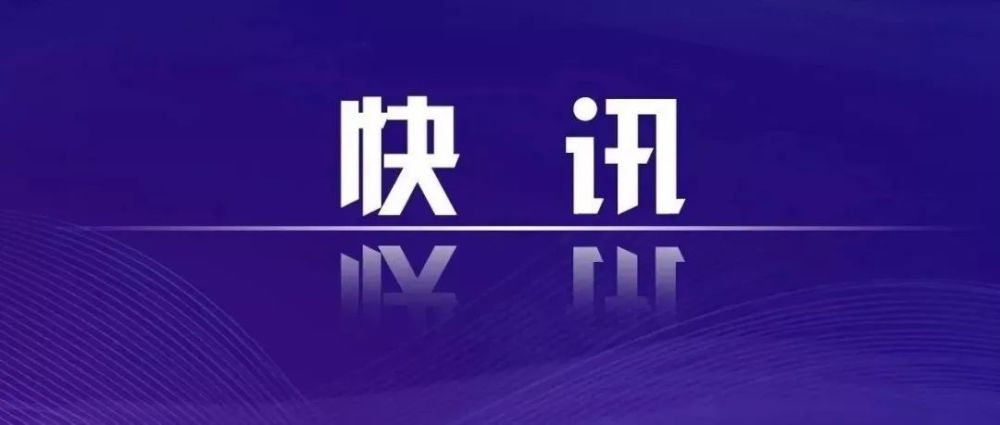 事关文明养犬珠海将加大整治力度规划宠物公园场地