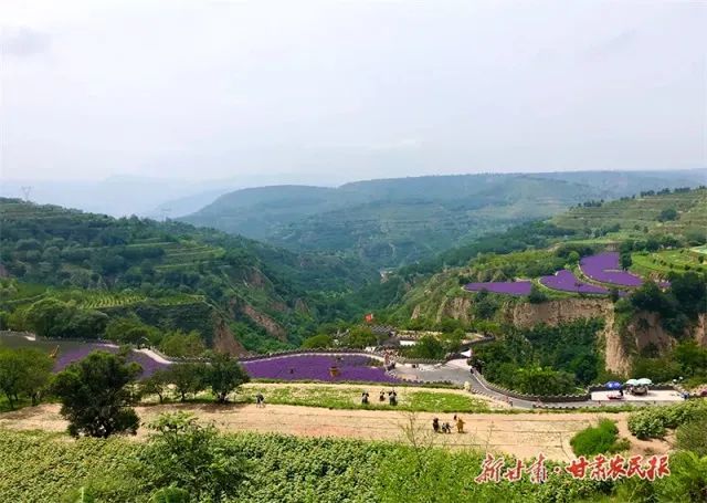 中省媒体看平凉乡村美景入画来平凉市崆峒区推进乡村旅游高质量发展