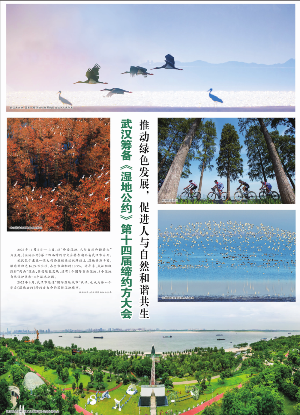 倒计时5天！人民日报整版聚焦武汉COP14_腾讯新闻
