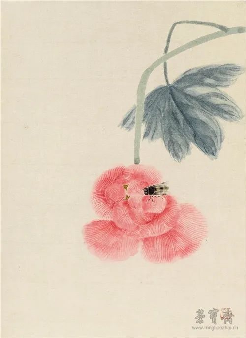 此处无声胜有声——论齐白石的草虫册页作品_腾讯新闻