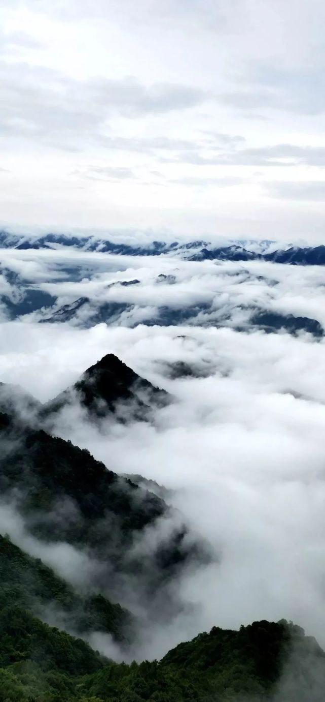 如潮水一般的云海,在层峦叠嶂的群山之间翻涌,山间云蒸雾绕,峰林时隐