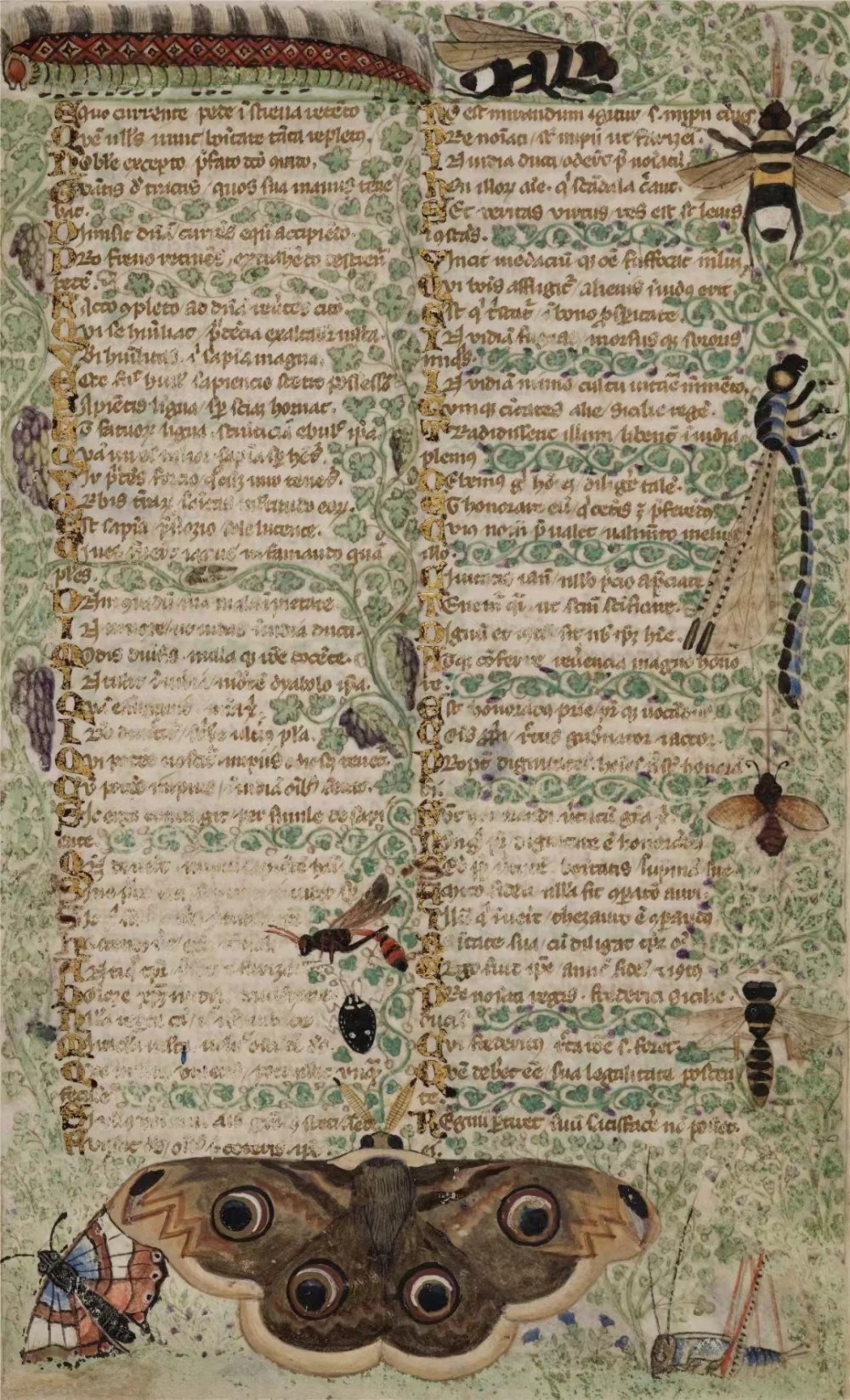 梦境中的低语，与过世的姥姥对话的深意解析