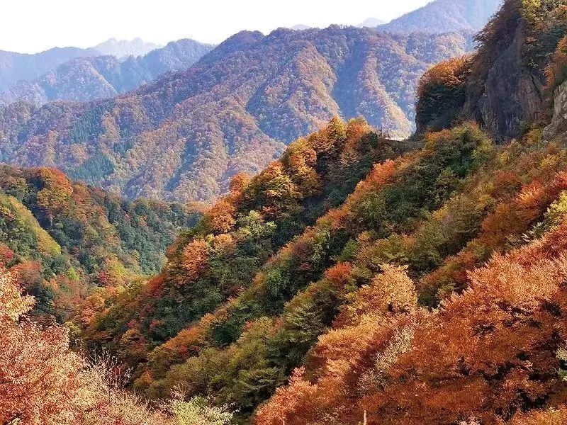 第二十届四川光雾山国际红叶节正式开幕同步配套六大活动